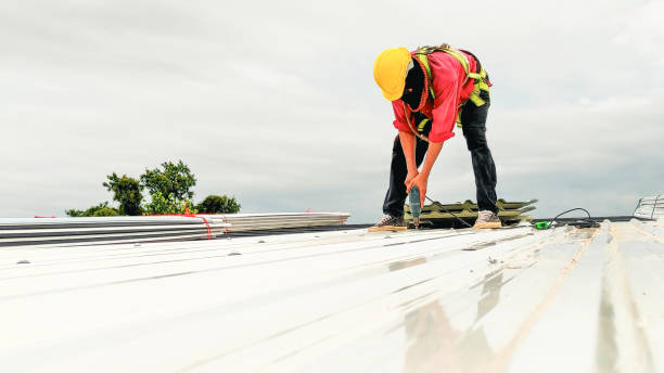 Best Commercial Roofing Services  in Postville, IA